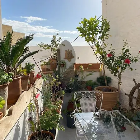 Jasmine Sea View With Blooming Patio * אנו סירוס